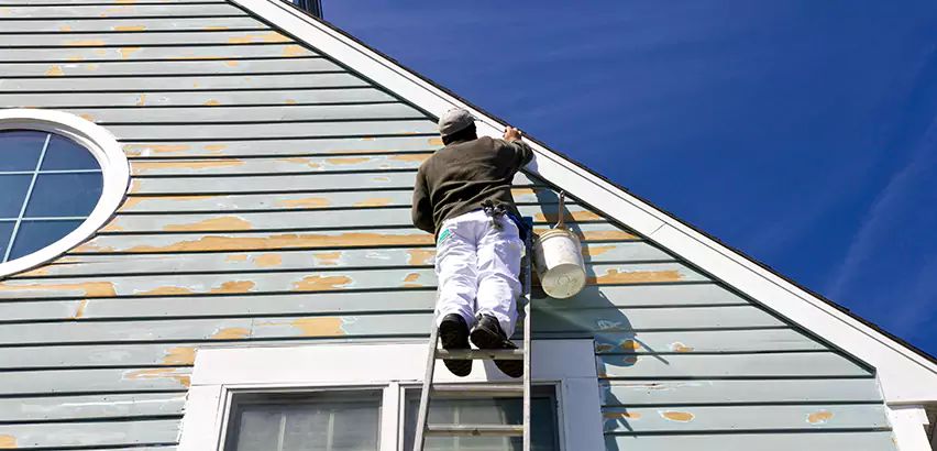 Professional Roof and Siding Repair Services in Arlington Heights, IL