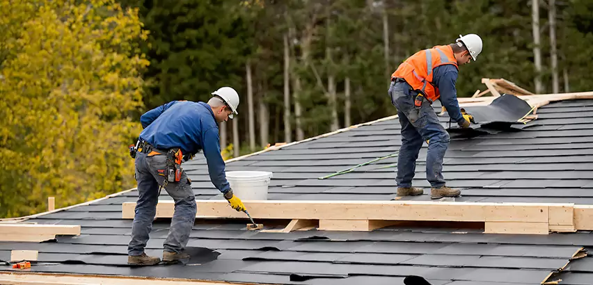 Agricultural Roof Maintenance Arlington Heights
