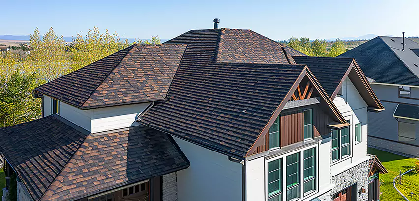Residential Shingle Roofing in Arlington Heights