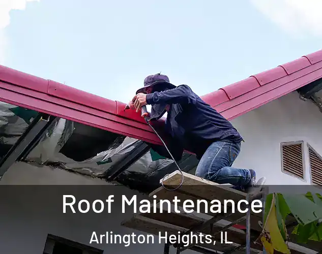  Roof Maintenance Arlington Heights, IL