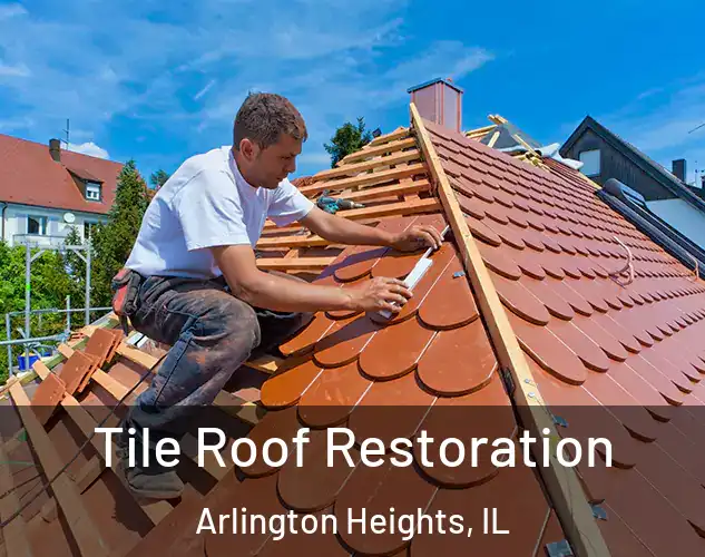  Tile Roof Restoration Arlington Heights, IL